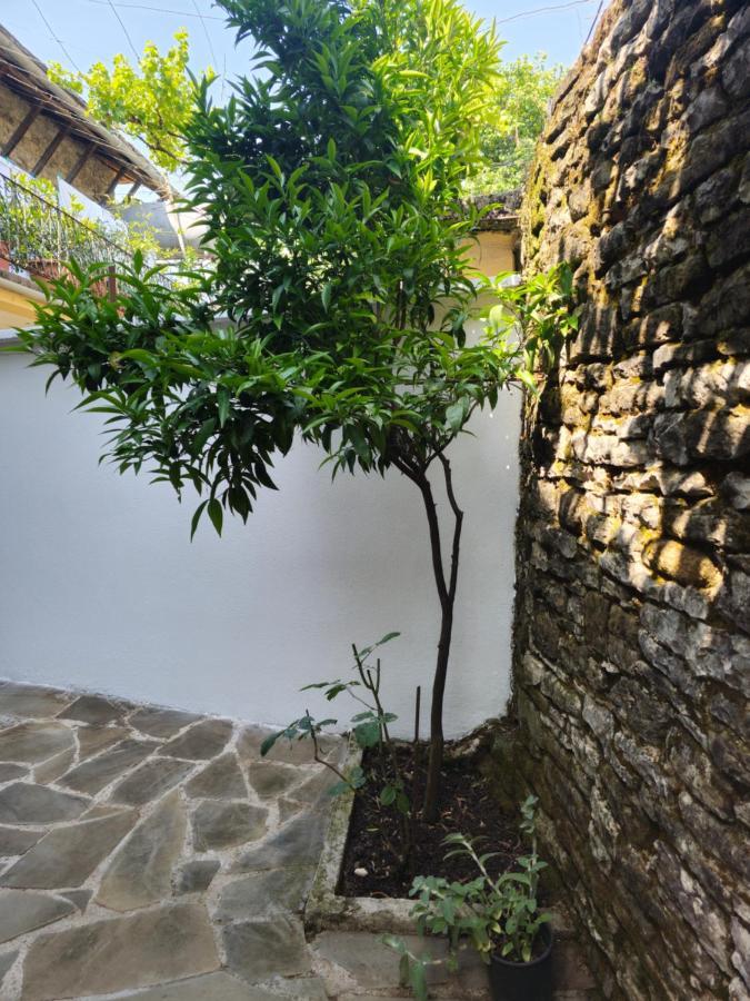 Traditional House Shapllo Gjirokastër Dış mekan fotoğraf